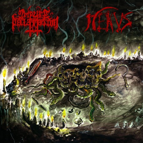 IMPURE DECLARATION (Pol) / NEKUS (Ger) - "Malevolence Evocations" CD